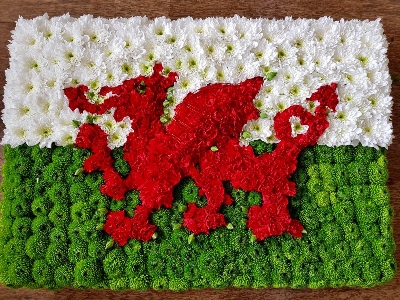 Welsh Flag