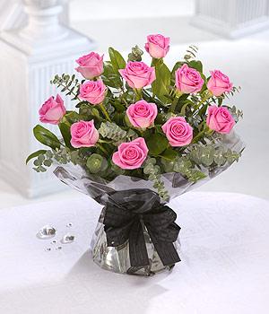 Pink Roses