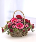 Ruby Basket