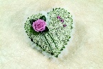 Gypsophilla Heart