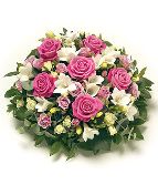 Pink and White Posy