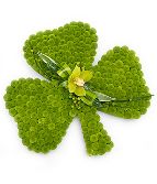 Shamrock